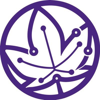 RevinoLabs's profile picture. 
