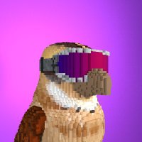 Cryptobirds (@cryptobirdsnest) 's Twitter Profile Photo
