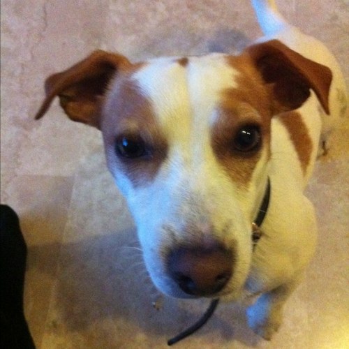 DeFloridi's profile picture. 