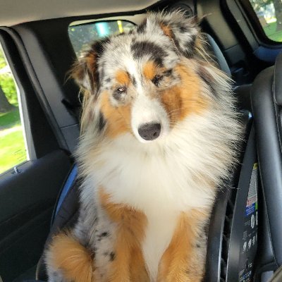 DannyCalhoun1's profile picture. 