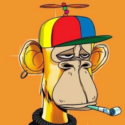 Father , Husband , NFTs Lover 420 . Founder & #Spaceshost of #NFT Not Financial Advice . #NFA 3Dbag Mfer-0069 . AdaHandle $talcrypto . Guttertal.eth