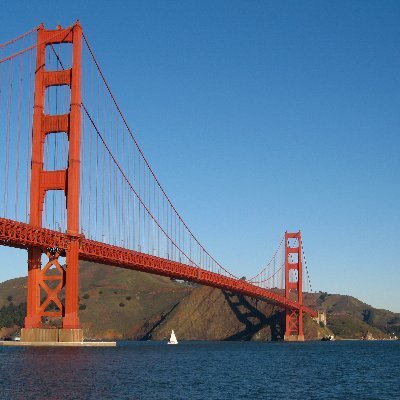 aledade3's profile picture. -