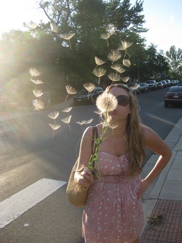 hyfletch's profile picture. for best results, place outside, full sun, plenty of water.