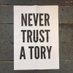 Jaz - Never Trust a Tory 💙 (@jazzycatbristol) Twitter profile photo