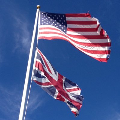 states_kingdom's profile picture. 