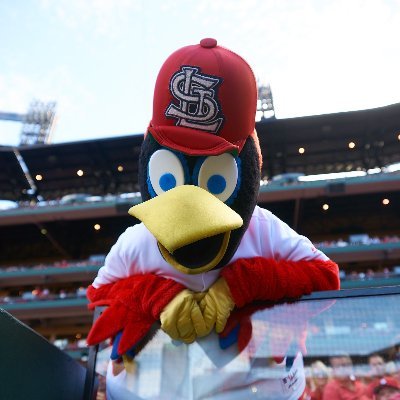 Official Twitter Account of the St. Louis Cardinals’ Team Fredbird
Follow us on Instagram @teamfredbird