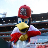 Team Fredbird (@teamfredbird) 's Twitter Profile
