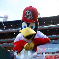 Fredbird - St. Louis Cardinals Mascot – mlbmascot