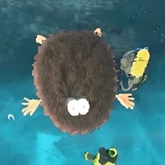 塩さんま 🧂🩴さんのプロフィール画像