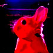 rabbit_isdead Profile Picture