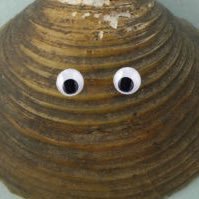 EvonMollusk Profile Picture