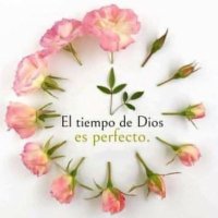 Yusvelis Rodriguez (@yusvelisrodrig1) 's Twitter Profile