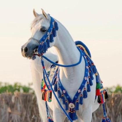 Hakim_1_22's profile picture. 