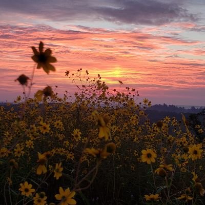 There is a lot of good hiking in Georgia. Follow along to explore some!!!