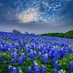 PLW TEXAS (@paulaledfordwa1) Twitter profile photo PLW TEXAS (@paulaledfordwa1) Twitter profile photo