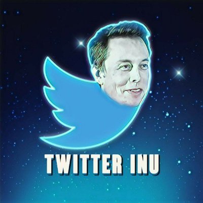 FlokiElons's profile picture. Millionaire
Bored so running it up again from 0!
!!! BUY TWITTER INU !!!