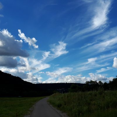 fantaus1's profile picture. 