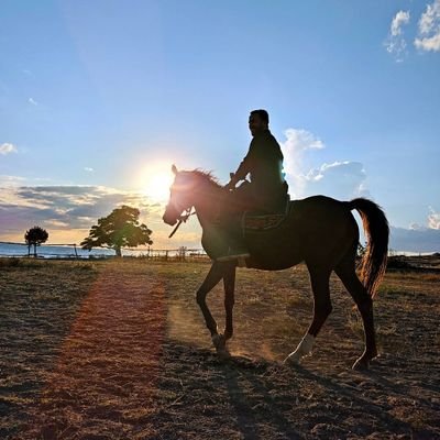 Dünya ne ise oydu. Ben de ne isem o oldum. Uyuşamadık, hepsi bu.       Oruç Aruoba