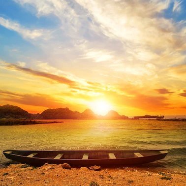 LMendesK's profile picture. Eu....