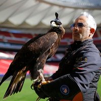 Jorge Castaño halcones Atlético (@jorgeca49134547) 's Twitter Profile