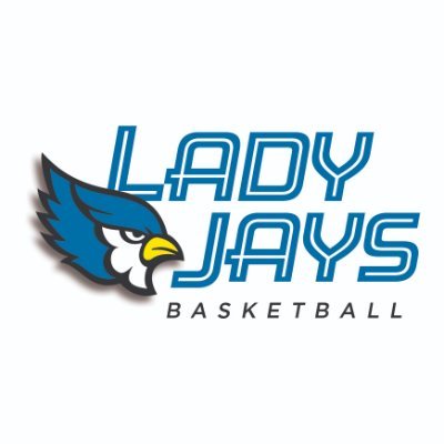 Lady Jays C Team BBall