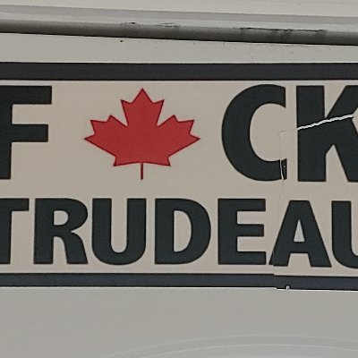 A regular Conservative Canadian who sees his country lose itself in dangerous woke illusions. Fringe Minority against covid vaccine. Anti Trudeau. Anti WEF/WHO.
