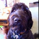 Donna Bain - @Shish33 - Twitter