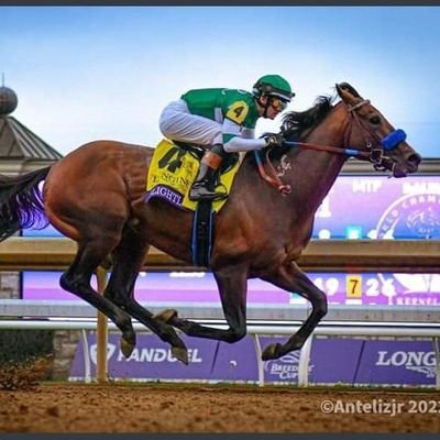 Si trabajas para ser el mejor, prepárate para los ataques, solo los mediocres están a salvo. . MAGALLANERO e HIPICO 100%