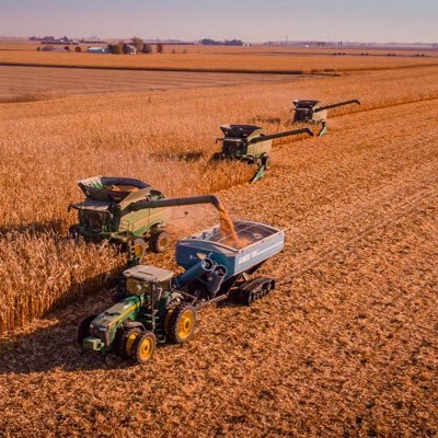 Corn, Soybean, and Seed Corn grower in Northern IL