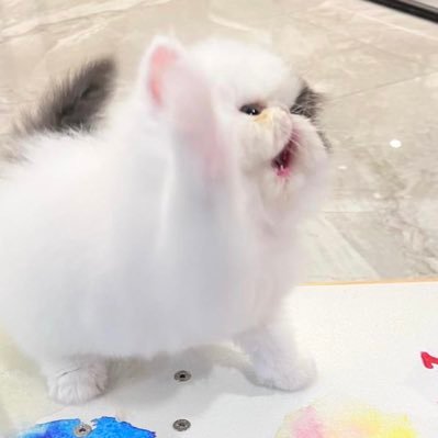 Libertyneo022's profile picture. 恐惧让你沦为囚犯 希望让你重获自由