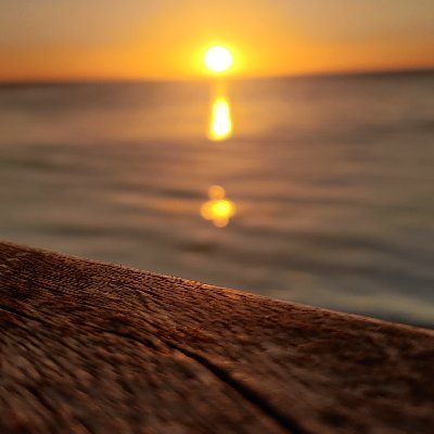Armando20202's profile picture. F