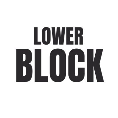 LowerBlock Profile Picture