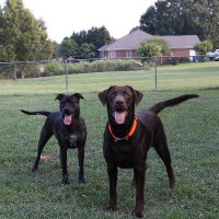 Michelle (@michelle1241112) 's Twitter Profile