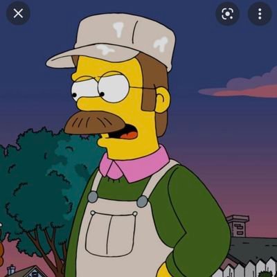 namesned_ada's profile picture. 999 // I work on shitty cars // day trader 📈

fuck your meme coin