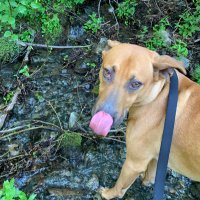Boonie (@allaboutclean12) 's Twitter Profile