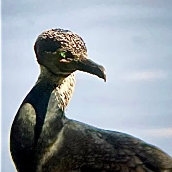 kumi03139310's profile picture. 同棲のために節約します。目指せ結婚‼️