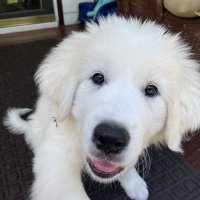 Kavin Hunter (@noidskull) 's Twitter Profile