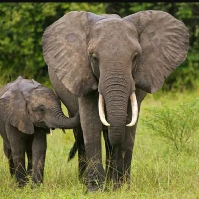 Hubhonour's profile picture. Here for the bants! Bring it...