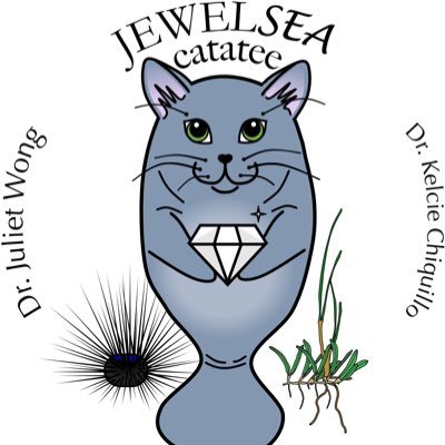 JewelSea Catatee
