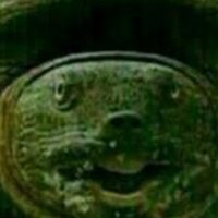 glitch18 (@glitch18f) 's Twitter Profile