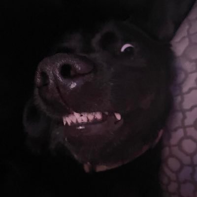 kayley_mcleod_'s profile picture. 