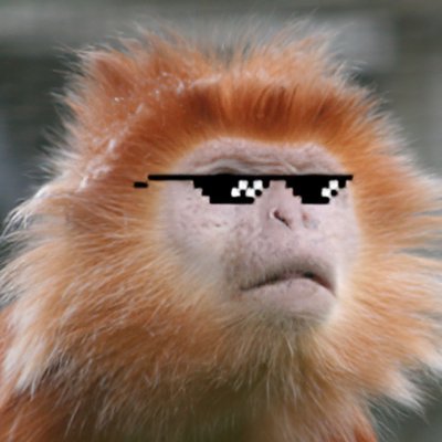 guy who likes youtube. edited for @MrBeast & more. currently working on my own stuff :)