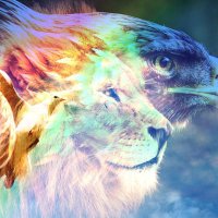 Praying_Person (@person_praying) 's Twitter Profile