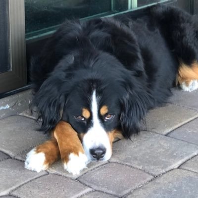 CScott35044553's profile picture. Don’t let the world draw you into its madness