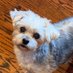 Rachelle (@rachelle72499) Twitter profile photo Rachelle (@rachelle72499) Twitter profile photo