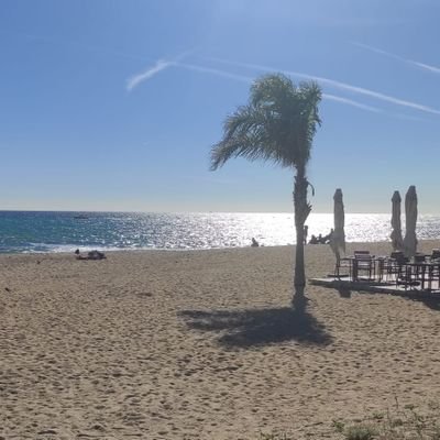 goran23809404's profile picture. 