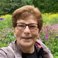 Maureen Whyman (@losethebox) 's Twitter Profile Photo