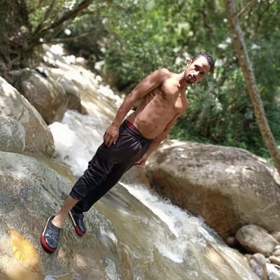 Luis49818990's profile picture. 