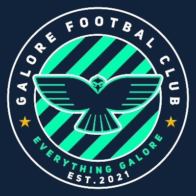Grassroots Football team established in 2021, playing in the Birmingham & Football District league (Prem Division)