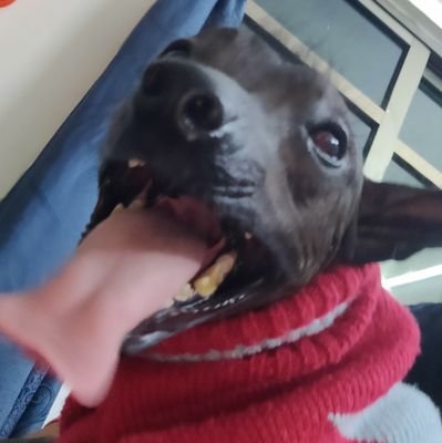 XAVIIII_Y's profile picture. Apasionado por los videojuegos 🎮, Toma riesgos y acepta el cambio